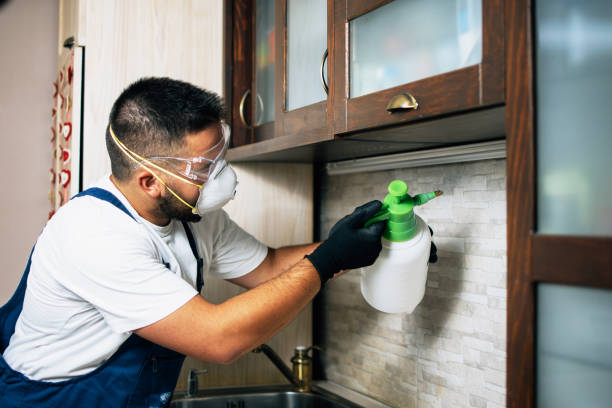 Best Cockroach Control Services  in Oxford, AL