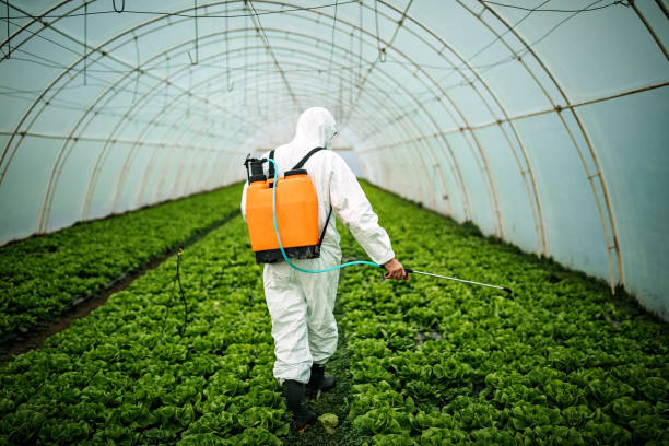 Best Mosquito Control Services  in Oxford, AL